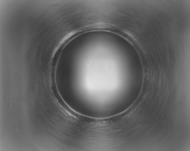 X0000054421410200508121739