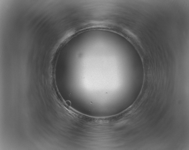 X0000054421411200508121739