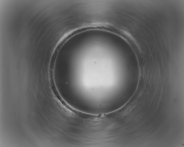 X0000054421412200508121739