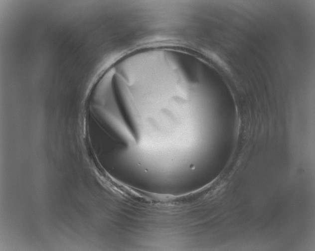 X0000054421413200508121739