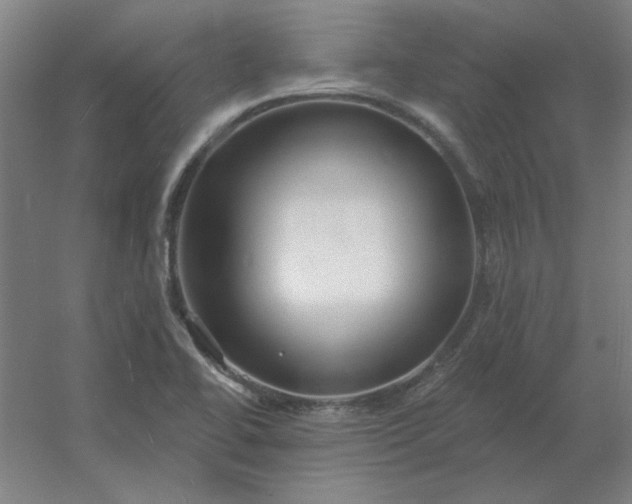 X0000054421414200508121739