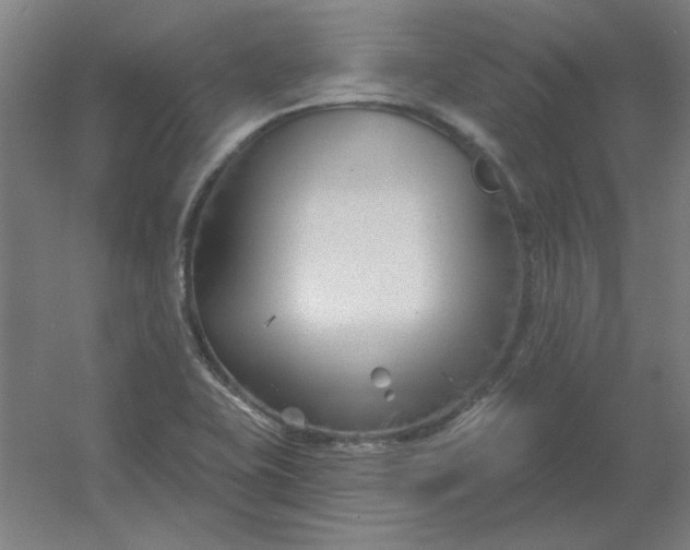 X0000054421415200508121739