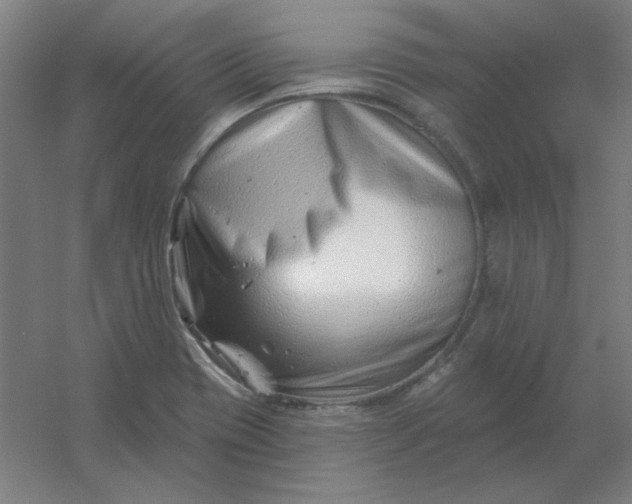 X0000054421417200508121739