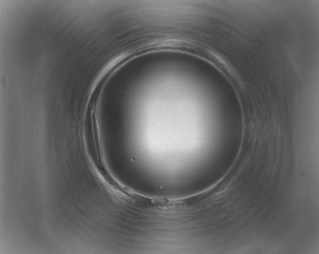 X0000054421418200508121739