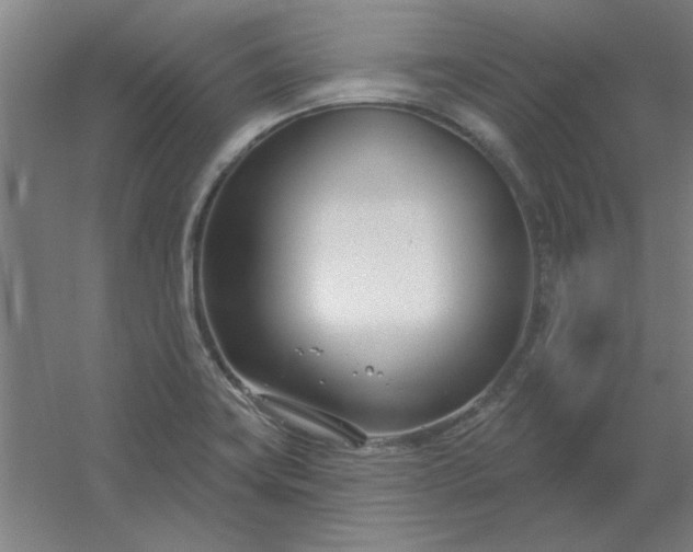 X0000054421419200508121739