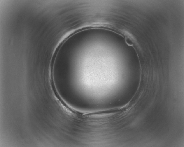 X0000054421420200508121739