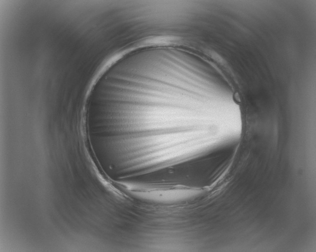 X0000054421421200508121739