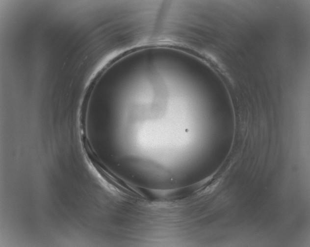 X0000054421422200508121739