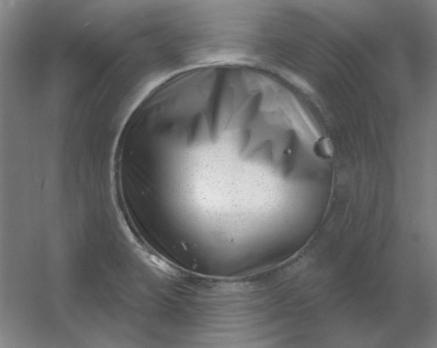 X0000054421423200508121739