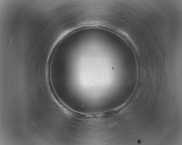 X0000054421424200508121739