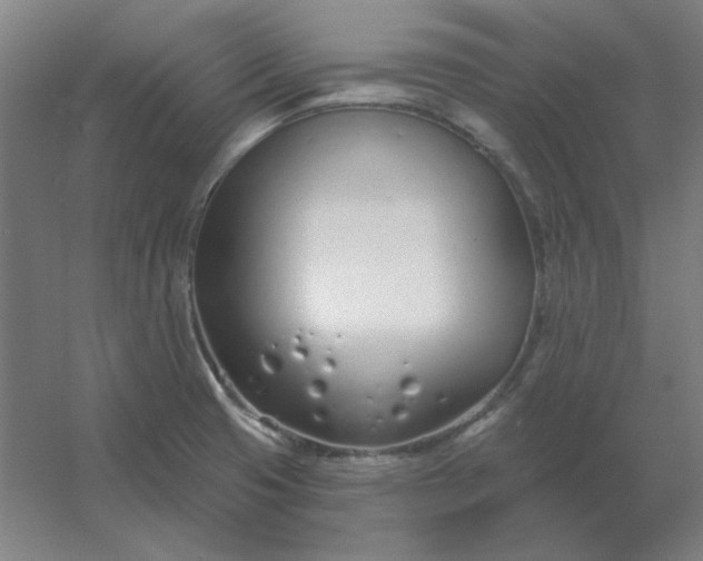 X0000054421425200508121740