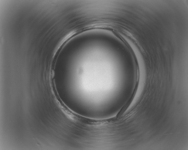 X0000054421426200508121740