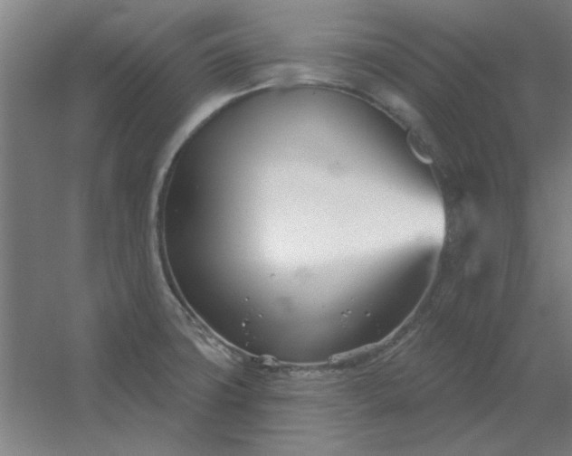 X0000054421427200508121740