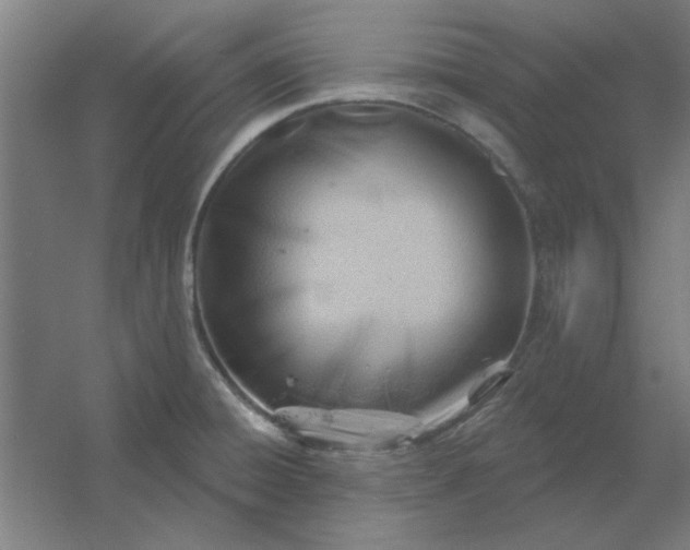 X0000054421428200508121740