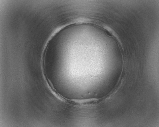 X0000054421429200508121740