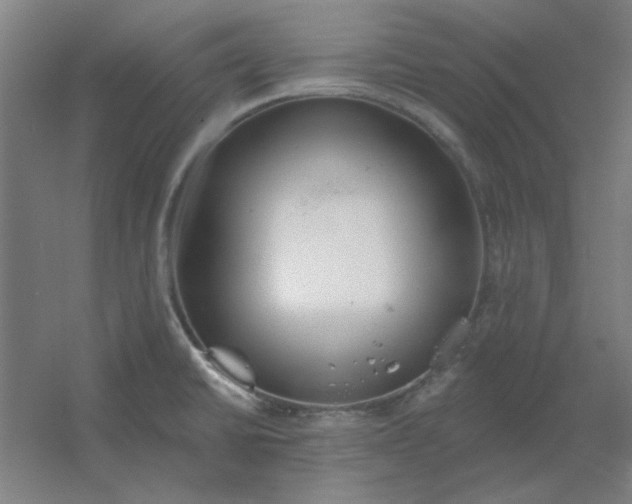 X0000054421430200508121740