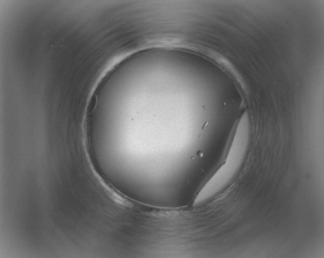 X0000054421432200508121740