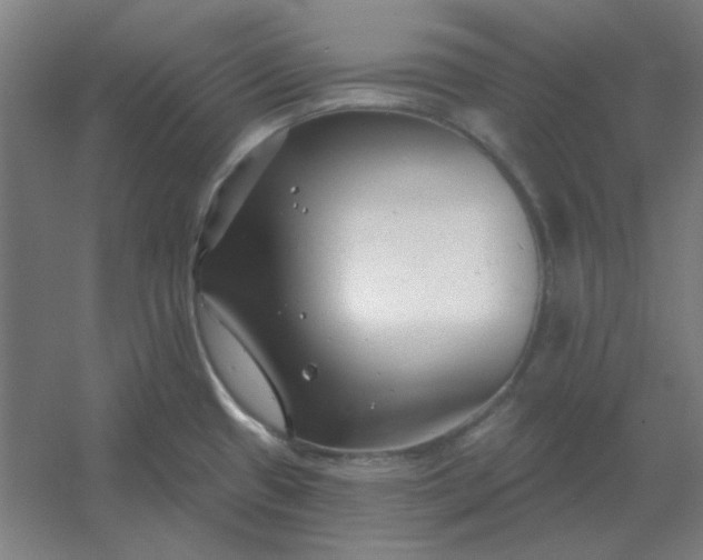 X0000054421433200508121740