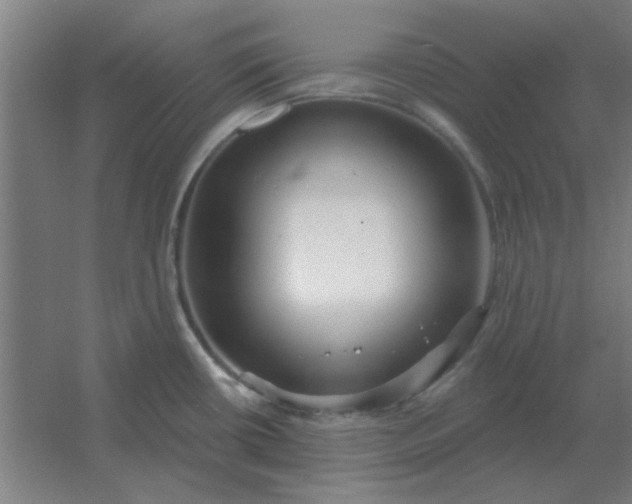 X0000054421434200508121740