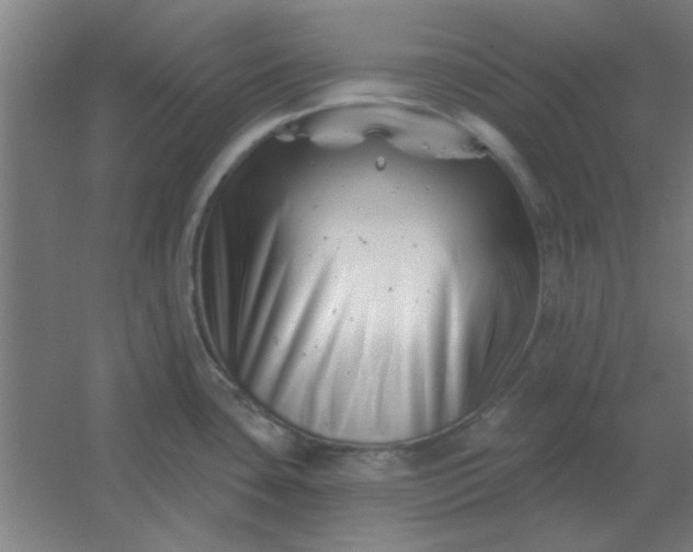 X0000054421435200508121740