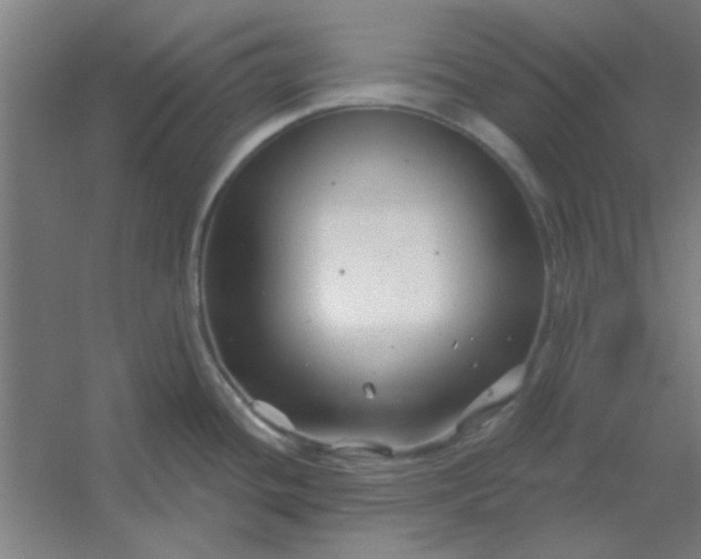 X0000054421436200508121740