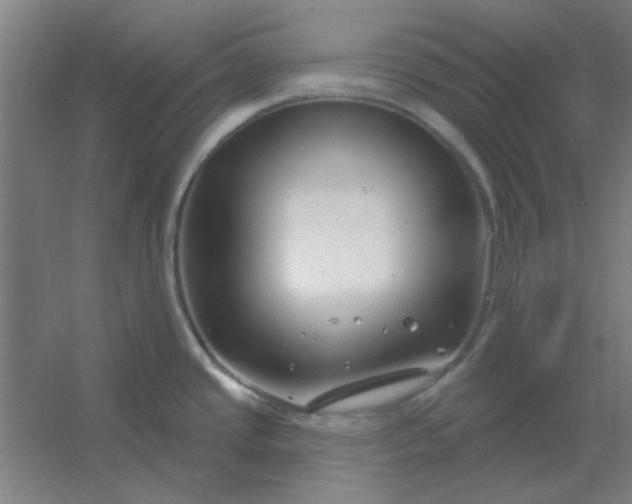 X0000054421437200508121740