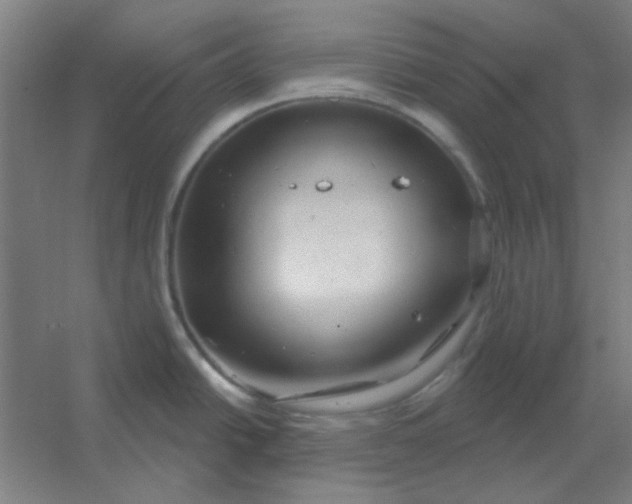 X0000054421438200508121740