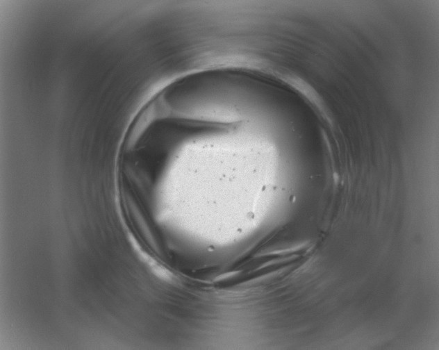 X0000054421439200508121740