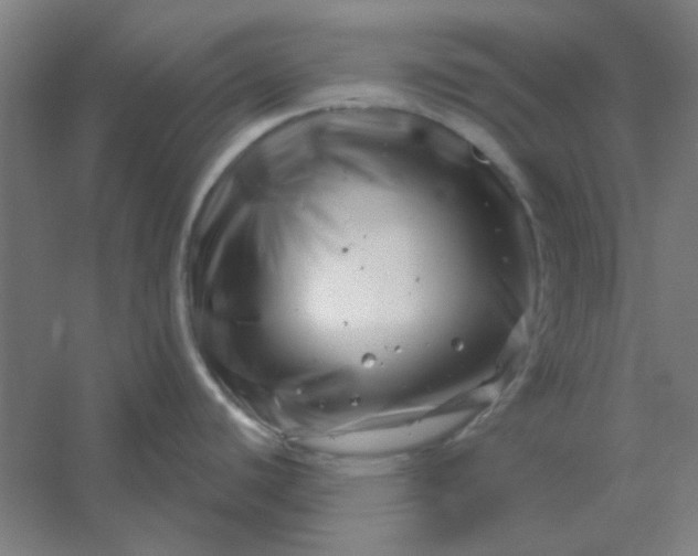 X0000054421440200508121740