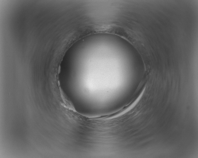 X0000054421441200508121739