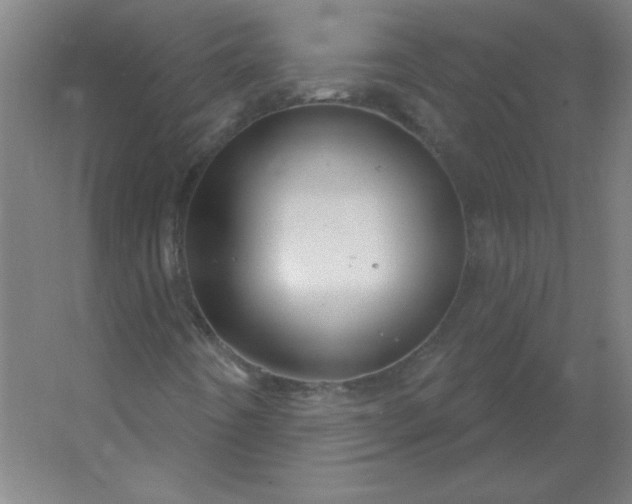 X0000054421442200508121739