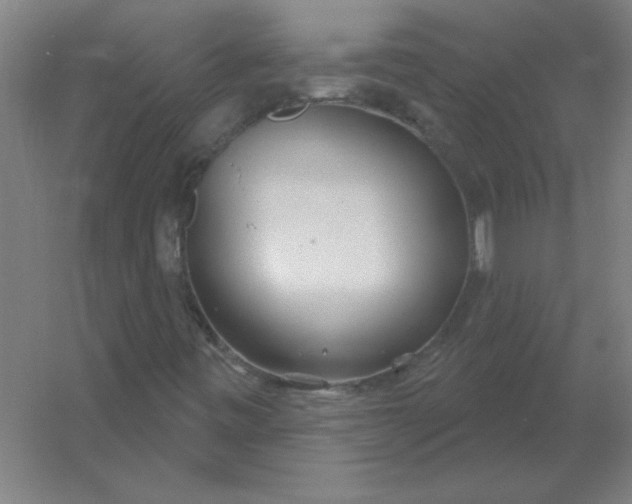 X0000054421443200508121739