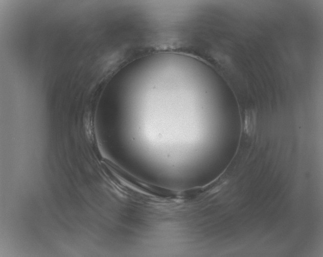 X0000054421444200508121739