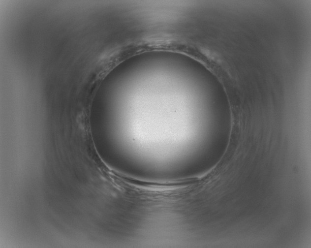 X0000054421445200508121739