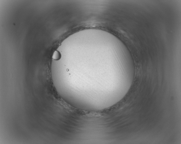 X0000054421446200508121739