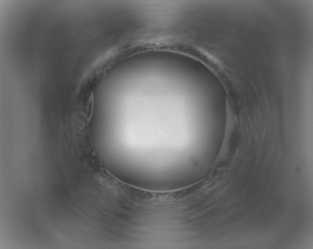 X0000054421447200508121739