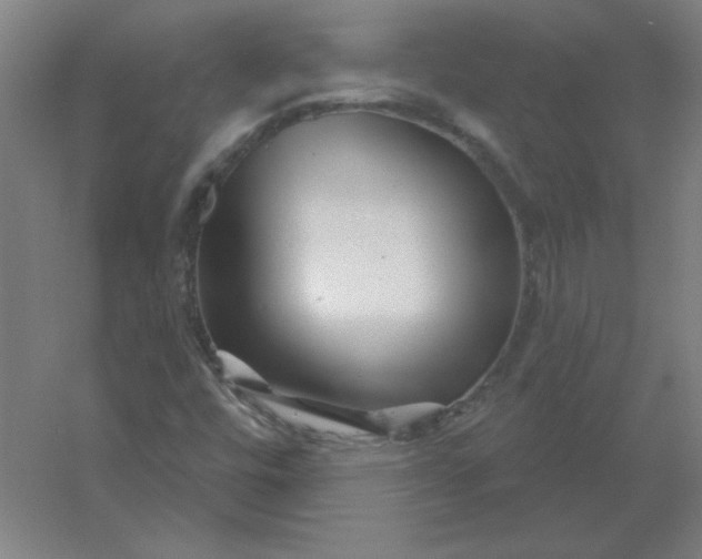 X0000054421448200508121739