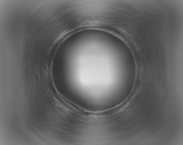 X0000054421449200508121739