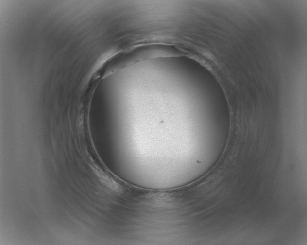 X0000054421450200508121739