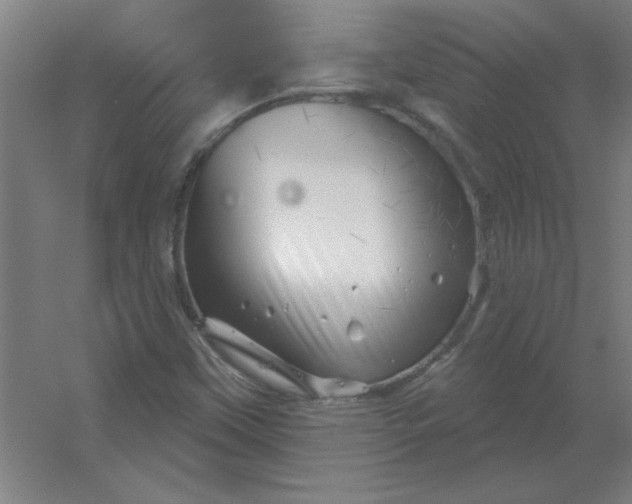 X0000054421451200508121739