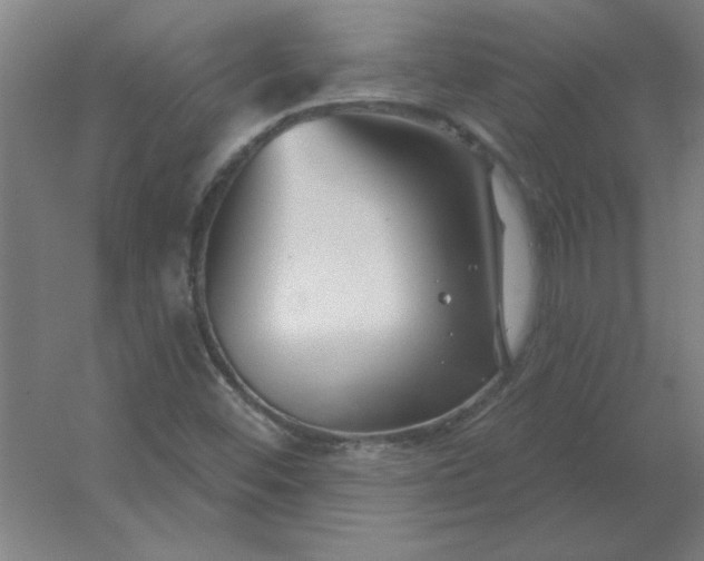 X0000054421452200508121739