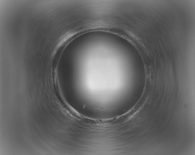 X0000054421453200508121739