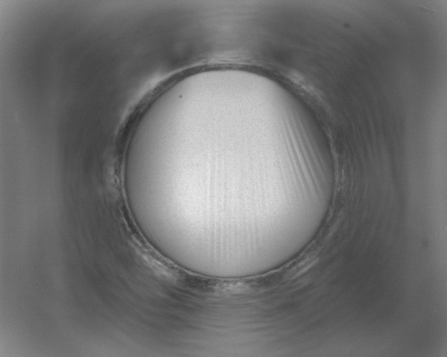 X0000054421454200508121739