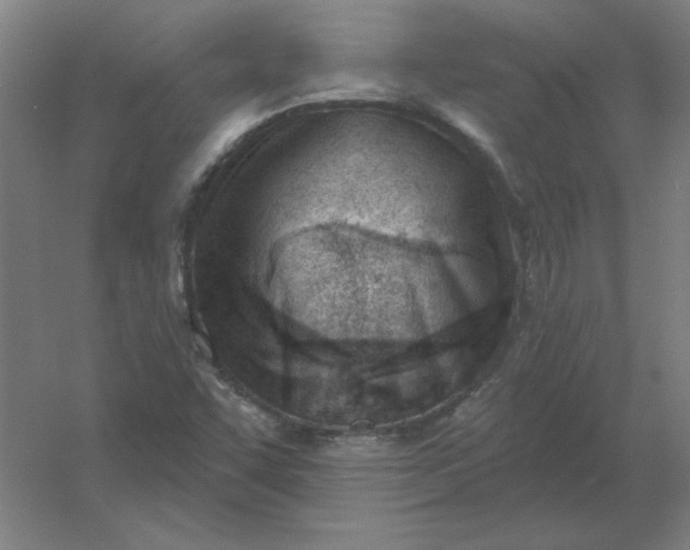 X0000054421455200508121739