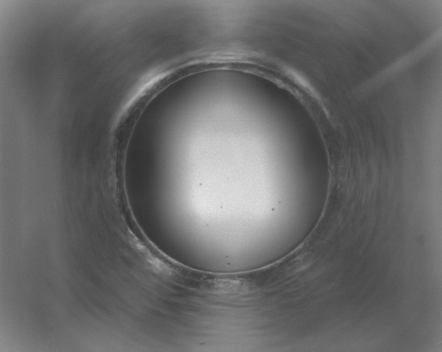 X0000054421456200508121739