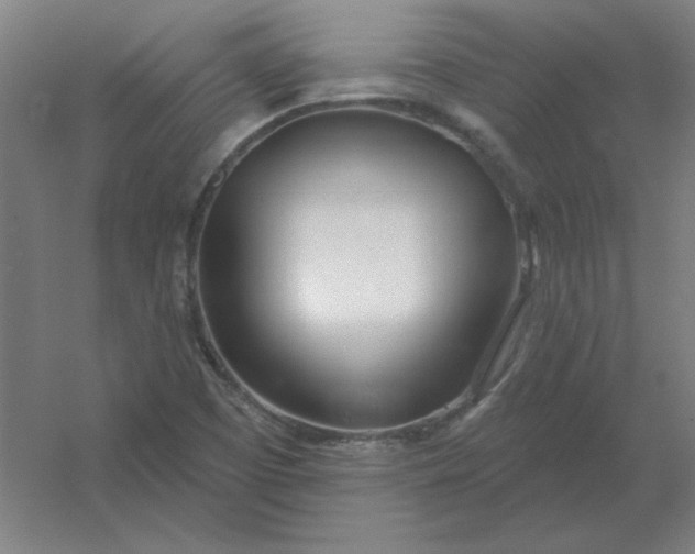 X0000054421457200508121739