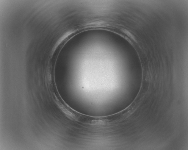 X0000054421458200508121739