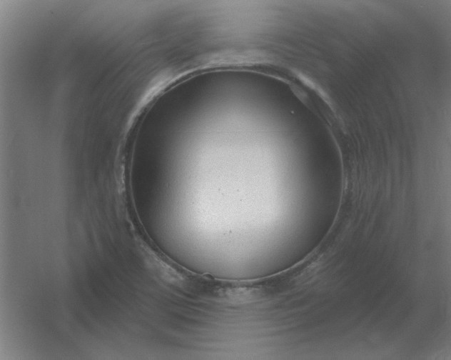 X0000054421459200508121739