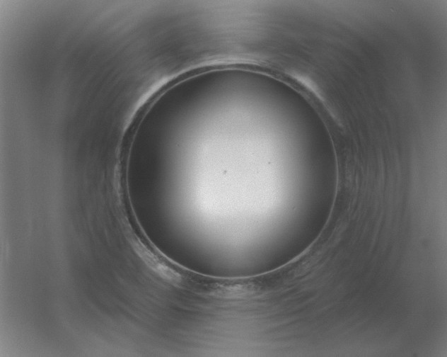 X0000054421460200508121739