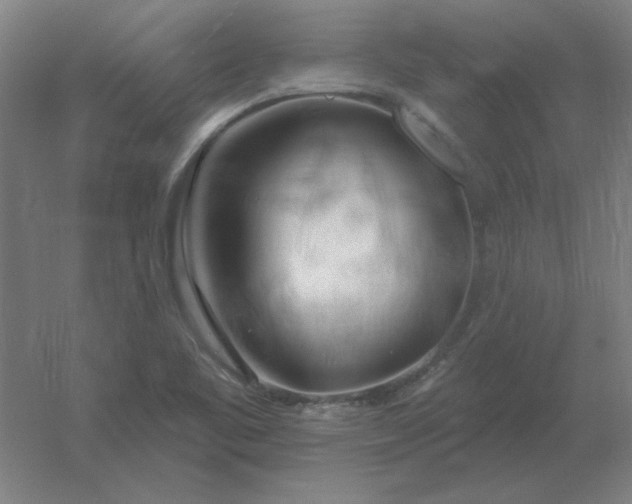 X0000054421461200508121739